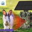 دوربین Solar Trap اصل