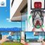 دوربین C703 اورجینال